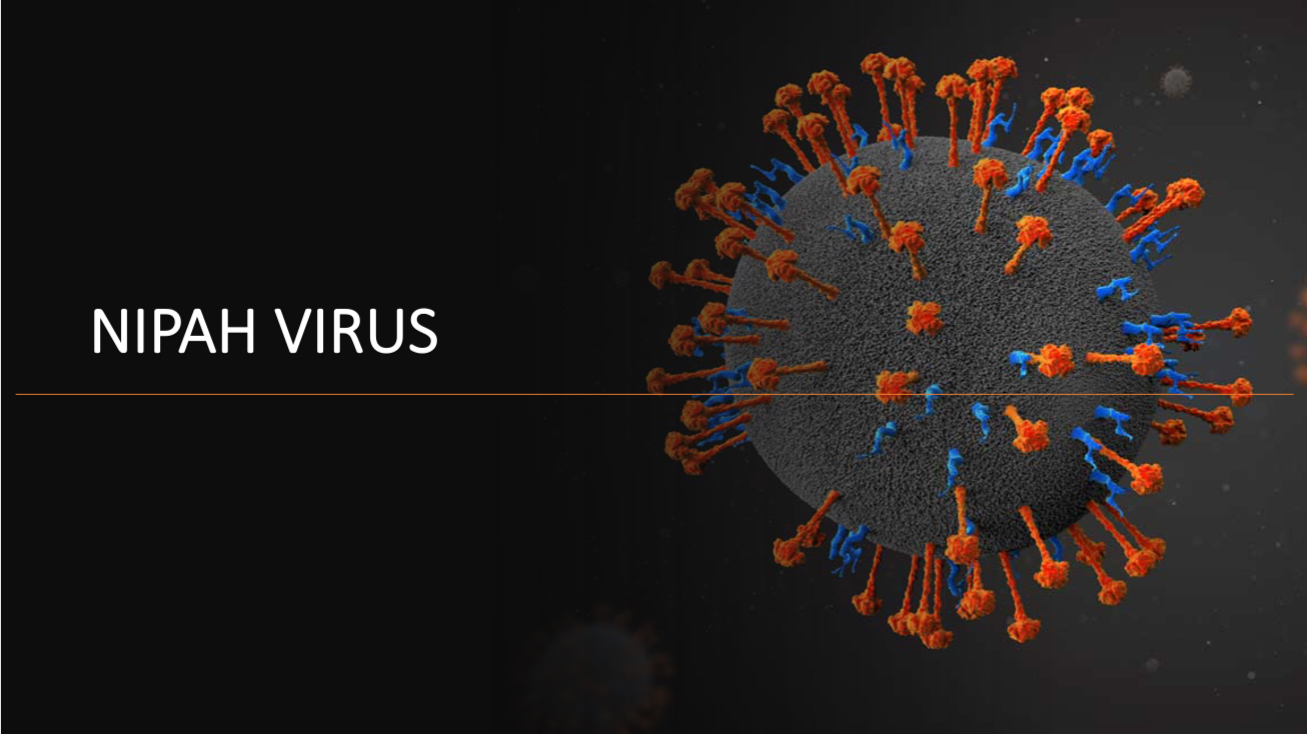 NIPAH VIRUS : ALL THE INFORMATION YOU NEED