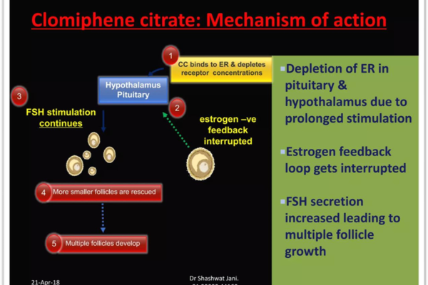 Clomiphene – Market opportunities and Challenges in the treatment of PCOS